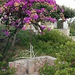 Seaside House Ivan Dolac, Hvar - 5708 ييلسا