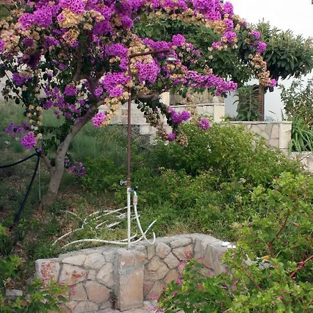 Seaside House Ivan Dolac, Hvar - 5708 Jelsa (Hvar)
